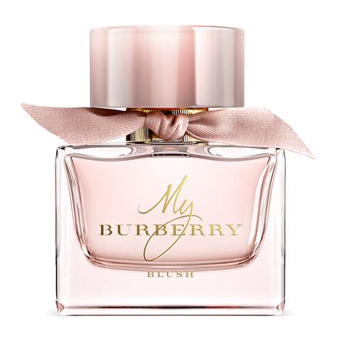 burberry parfum blush|burberry blush perfume 90ml.